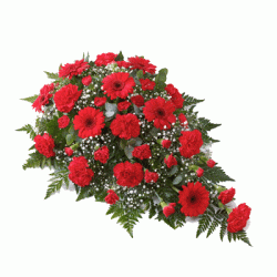 Carnation and Gerbera Teardrop Spray - Red 