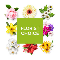 Florists Choice- Mixed Hand-tied Bouquet