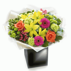 Vibrant Colour  Hand-tied