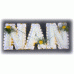 Nan-Tribute